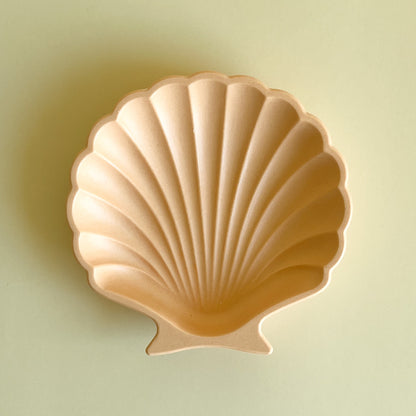 Tray SHELL “Candy”